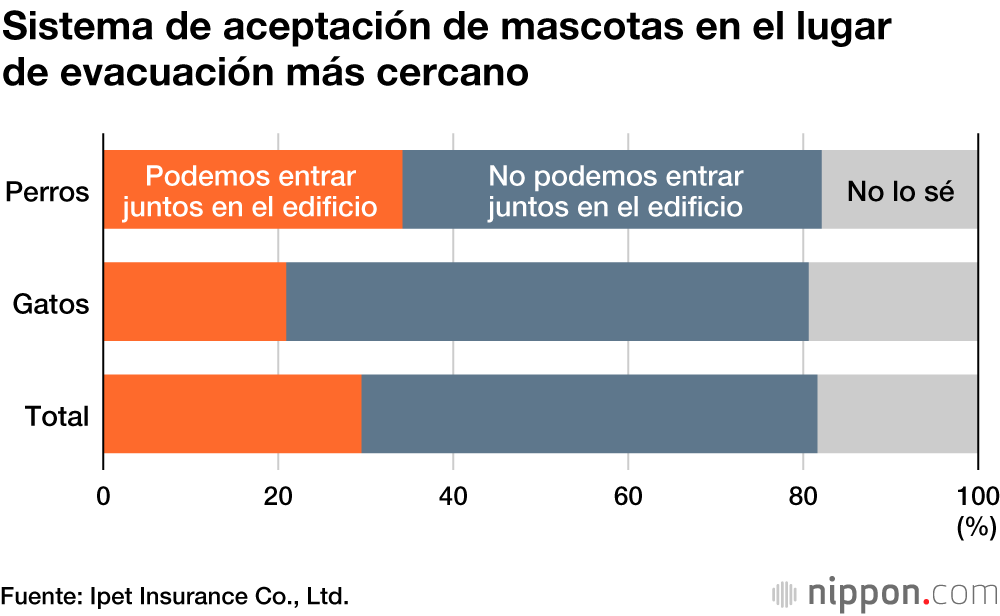 Solo el 20 % de los japoneses toma medidas preventivas para sus mascotas en caso de desastre