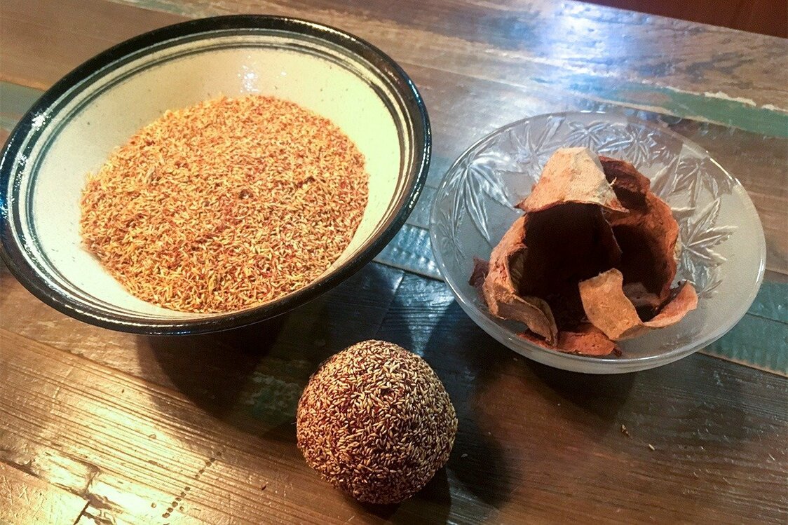 臺灣愛玉子的學名也是由牧野富太郎命名（何麗子提供）
