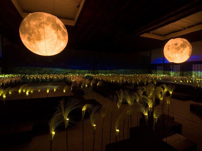Cette pièce parsemée de roseaux miscanthus rappelle la période du tsukimi, ou contemplation de la pleine Lune, où ces plantes servent de décoration rituelle.