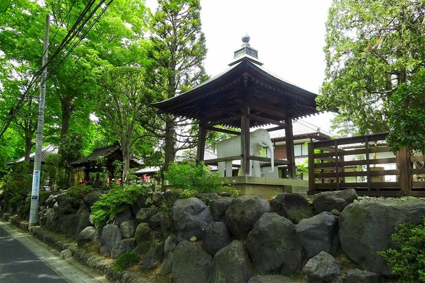 L’éléphant blanc dans le Kannon-ji