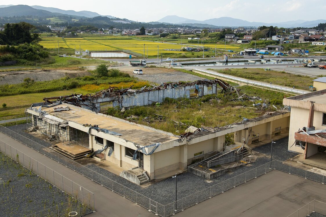 屋根や床板が流された体育館には雑草が生い茂る
