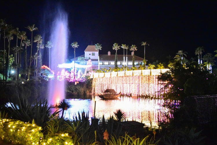 Expert Opinion: Five Must-See Light Displays in Japan