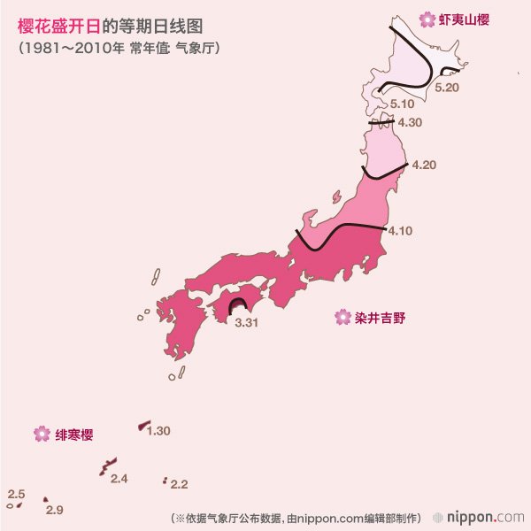 又到樱花烂漫时