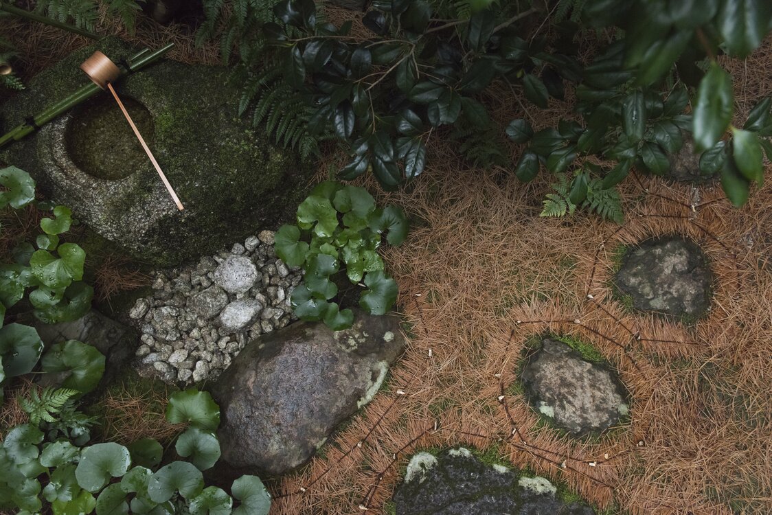 En hiver, le jardin est recouvert d’aiguilles de pin qui apportent les nutriments nécessaires pour protéger la mousse.