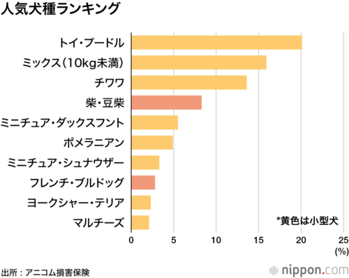 人気犬種ランキング