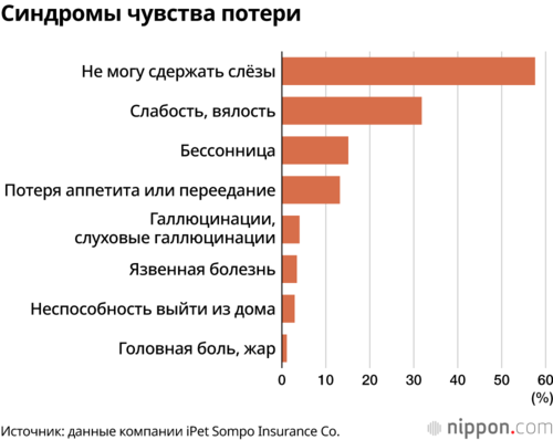 Синдромы чувства потери