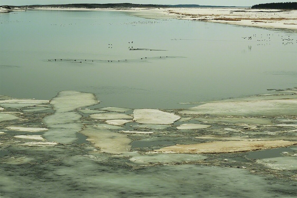 La glace à l’embouchure du fleuve Teshio prend des teintes jaunâtres avec les particules de sable jaune venant d’Asie. Dans le passé, on ne voyait jamais ce phénomène au nord du mont Hakkôda, dans la préfecture d’Aomori, mais il est maintenant arrivé jusqu’au nord du Hokkaidô.