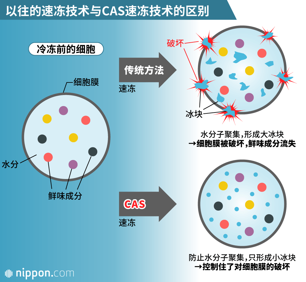 冷冻技术革新专家大和田哲男：用“味道时光机”拯救地球！？