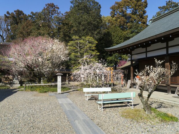 百度参りの石畳の横にベンチが置かれる