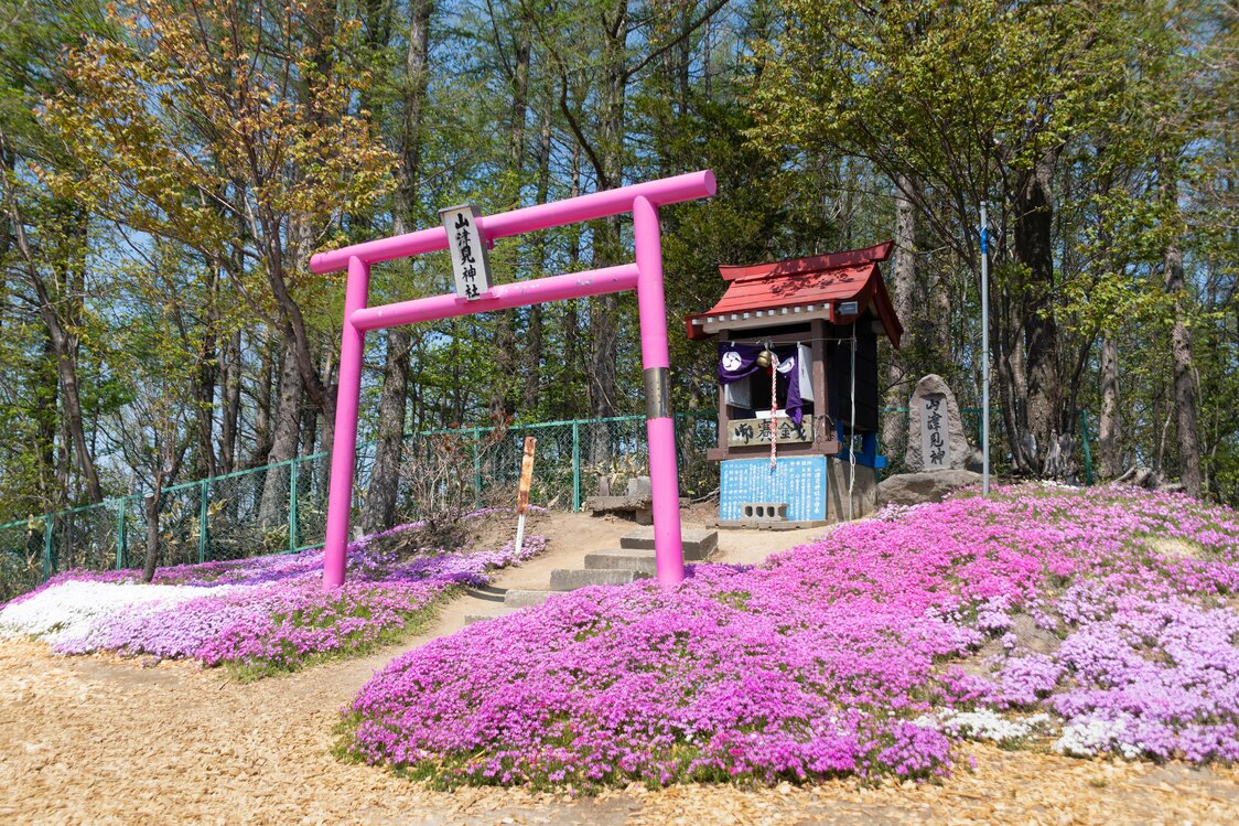Más allá del mirador se encuentra el santuario sintoísta de Yamatsumi, dios de la montaña. Aquí también hay un torii rosa.