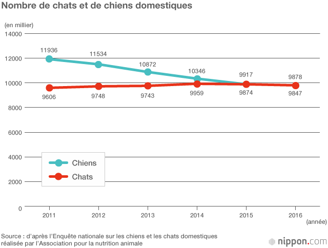 Le boom félin au Japon