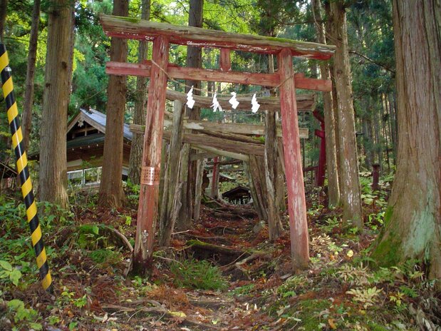 Una hilera de pórticos torii que hacen sentir al visitante el peso de la historia. (Cortesía de la Asociación de Turismo de la Ciudad de Tōno)