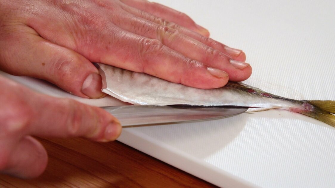 Japanese Seafood Culture: How to Fillet a Horse Mackerel