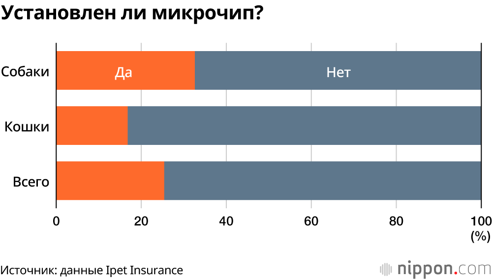 Что делать с домашними любимцами во время стихийного бедствия? Данные опроса показывают: не все владельцы готовы ответить на этот вопрос