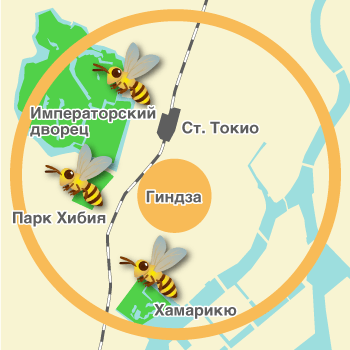 Радиус полёта пчёл вокруг Гиндзы
