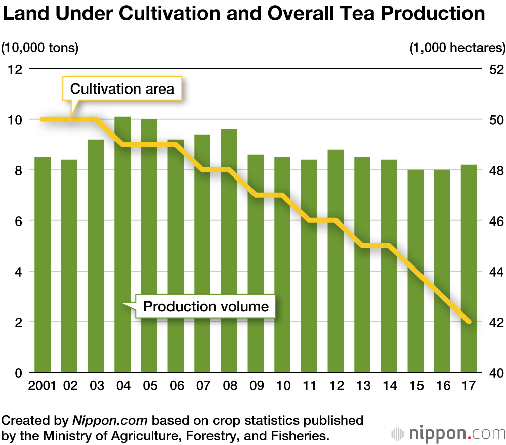 Bottled Green Tea Overtaking Home-Brewed as Japan’s Favored Drink