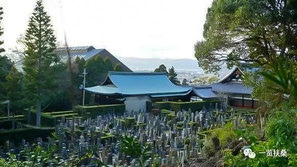 寺院里的墓地风景（图：库索）