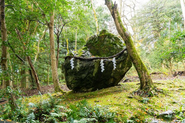 A shimenawa marks a sacred rock (iwakura) at the Izumo Daijingū in Kyoto Prefecture. (© Kazenotami/Pixta)