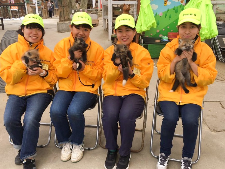 かわいい子ギツネを抱っこ　写真提供：蔵王キツネ村