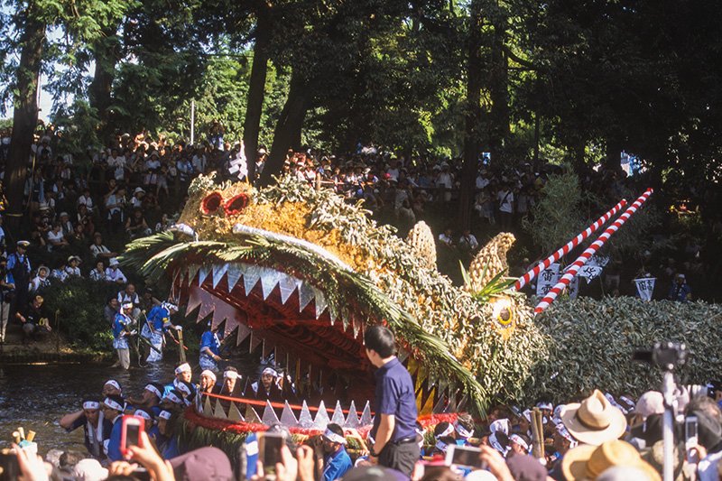 龍神の緑色の鱗部分は、祭り当日にクマザサで飾り付けられる