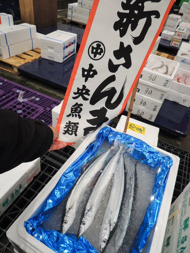 豊洲市場に今シーズン初入荷した北海道産のサンマ。卸値は過去高値を付けた 写真提供:市場関係者