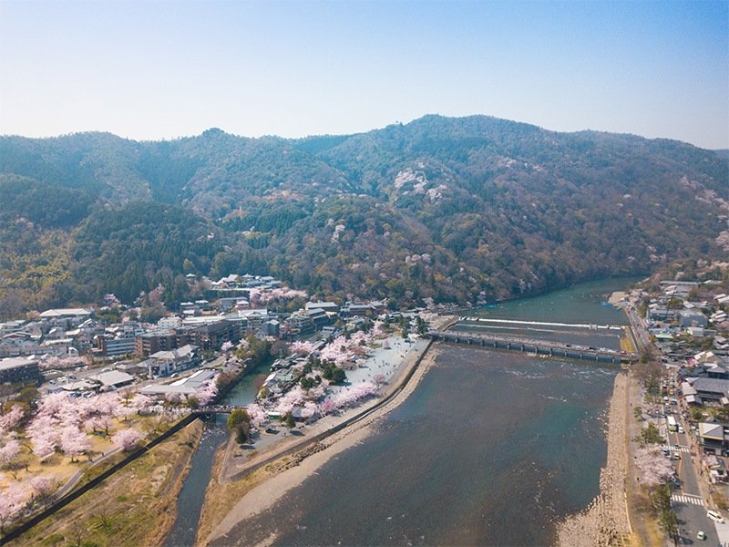 Arashiyama es uno de los “100 mejores lugares para contemplar los cerezos” en Japón. Aquí pueden ver los sakura situados en el puente Togetsukyō.