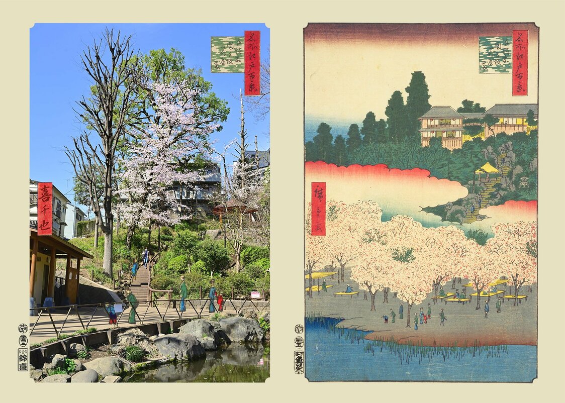 『千駄木団子坂花屋敷』：浮世写真家 喜千也の「名所江戸百景」第112回