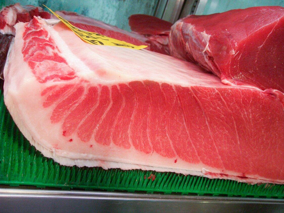 豊洲市場の仲卸店に並ぶ天然本マグロのトロが含まれたブロック