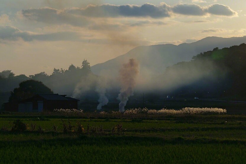 飛鳥時代の面影を残す、飛鳥寺門前に広がる田園風景