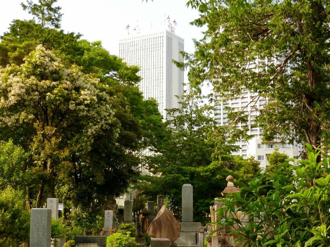 雑司ケ谷霊園（向こうにサンシャイン60が見える）