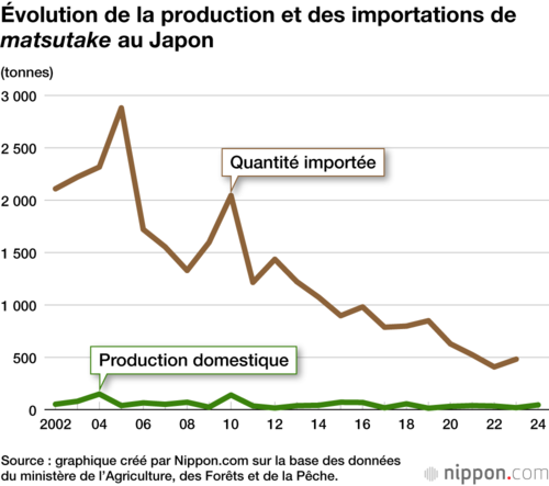 Évolution de la production et des importations de matsutake au Japon
