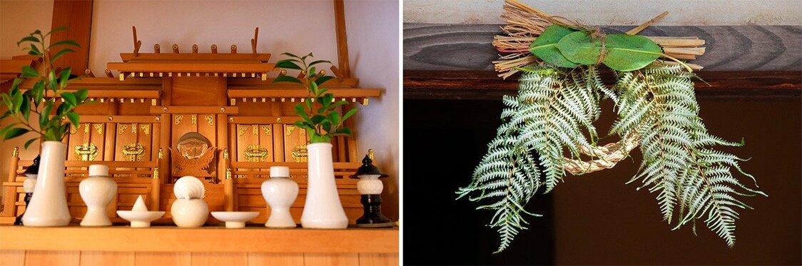 Branches de sakaki destinées aux kami (divinités) (à gauche) ; feuilles de yuzuriha et feuillage d’urajiro.