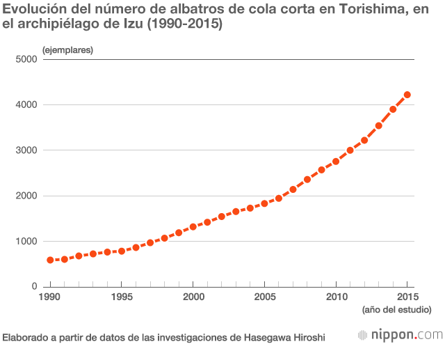 Los albatros de cola corta, supervivientes de una masacre (2)