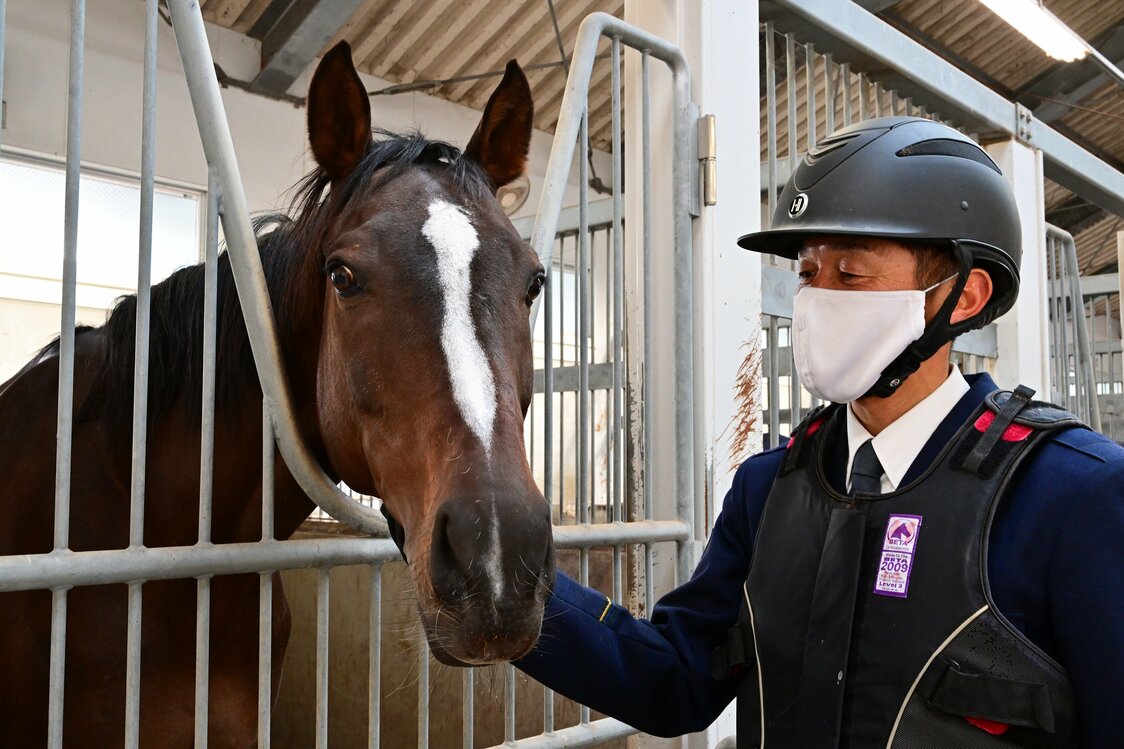 Shōyū back at the stables after a training session. He is ridden by a different guard every day, who then showers and brushes him, and care for his hooves.