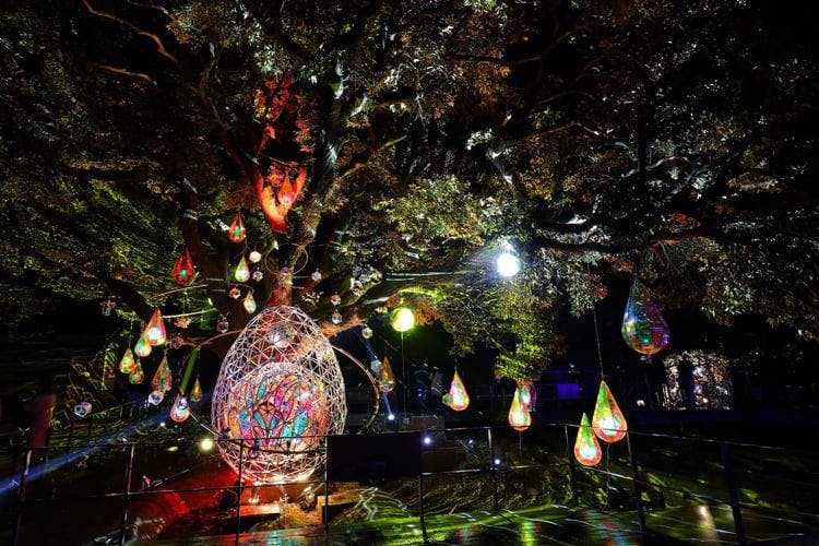 Expert Opinion: Five Must-See Light Displays in Japan