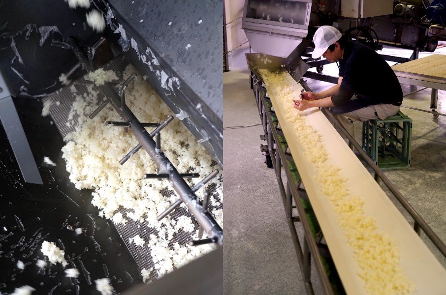 On observe de près le riz fraichement cuit afin de décider de la bonne température pour former le kôji, car celle-ci peut changer selon la saison et le temps.