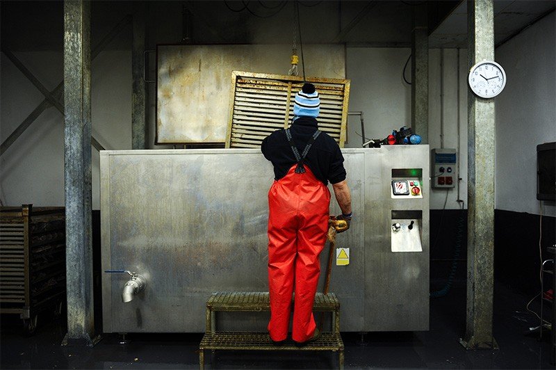 After filleting, the fish are boiled for 1 hour. They are then deboned and dry-smoked.