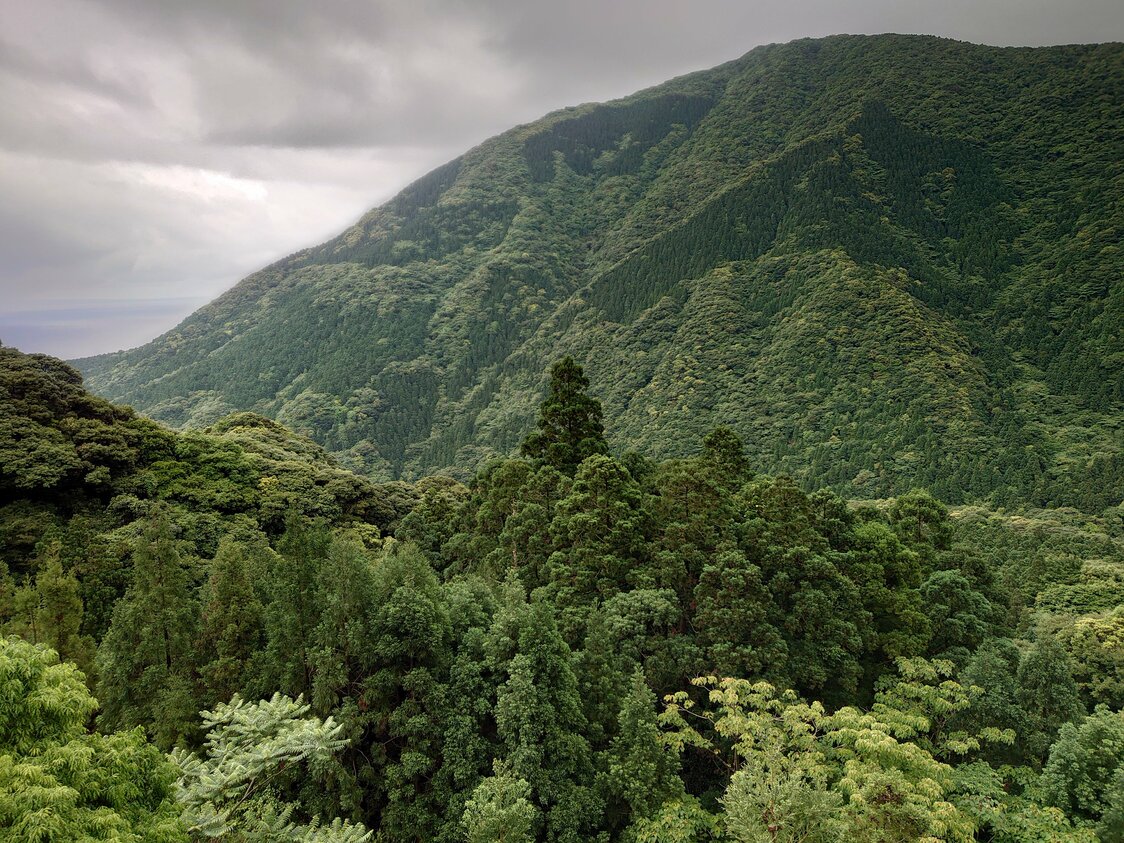 壯觀的群山 ©李琴峰
