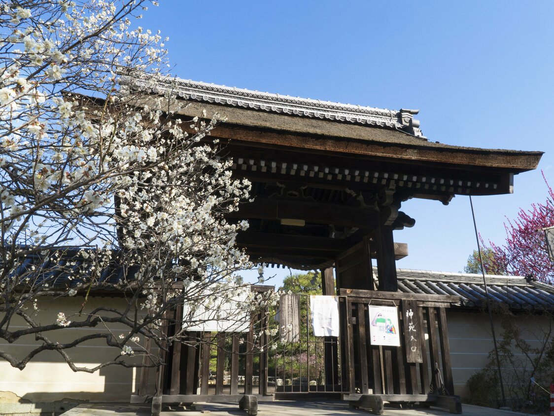 神苑的入口。成人票价为600日元（儿童票400日元）