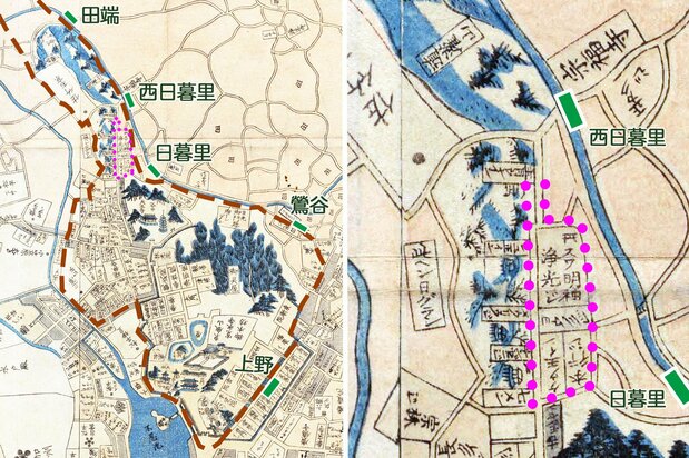 『弘化改正御江戸大絵図』(1847年刊、国会図書館蔵)より。左は上野不忍池から田端駅付近までを切り抜いた。赤い破線が高台で、緑の四角はJR山手線の駅。右図ピンクの点線は諏訪の台と呼ばれた場所。「スワ明神 浄光ジ」の左の道が現在の「諏訪の台通り」