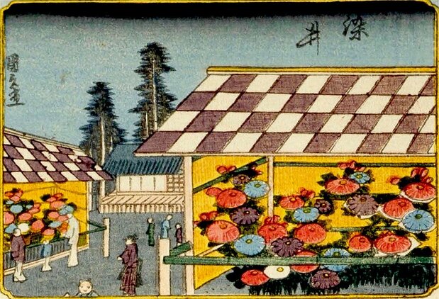 Exposición de crisantemos en Somei. Detalle de uno de los grabados de la colección Edo meisho hyakunin bijo (“100 bellezas femeninas de los sitios famosos de Edo”), de Utagawa Kunisada. (Colección de la Biblioteca Nacional de la Dieta)