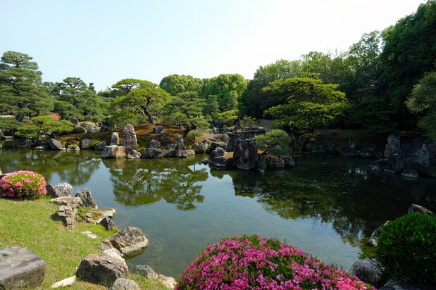 二条城庭園(PIXTA)