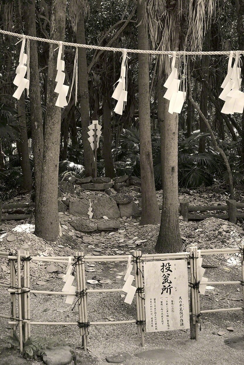 树木围绕的环形石阵便是“磐境”（摄影：大坂宽）