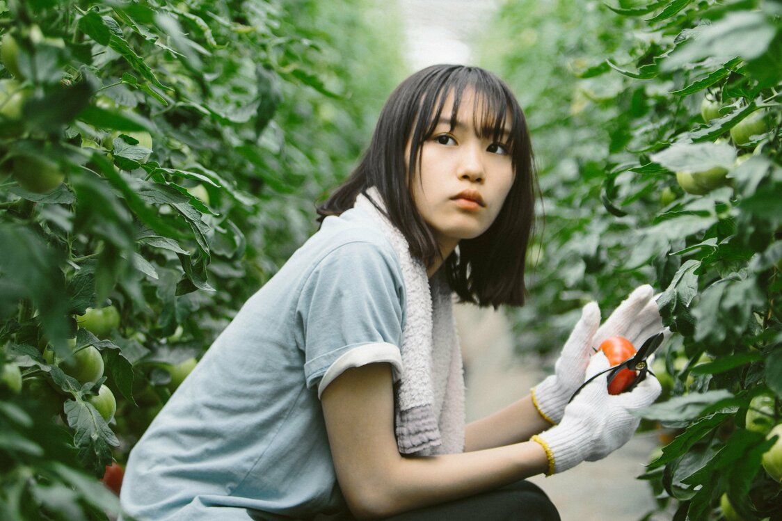 Minami Sara, que da vida a Ayaka, la protagonista, nació en 2002. El director Sakamoto, tras ver su debut, Osanago warera ni umare (Distribuida en inglés como Dear Etranger; director: Mishima Yukiko, 2017), elogió a la actriz como una de las cinco mejores de su generación, y le ofreció el papel protagonista en su película © Comité de Producción de Momi no ie.