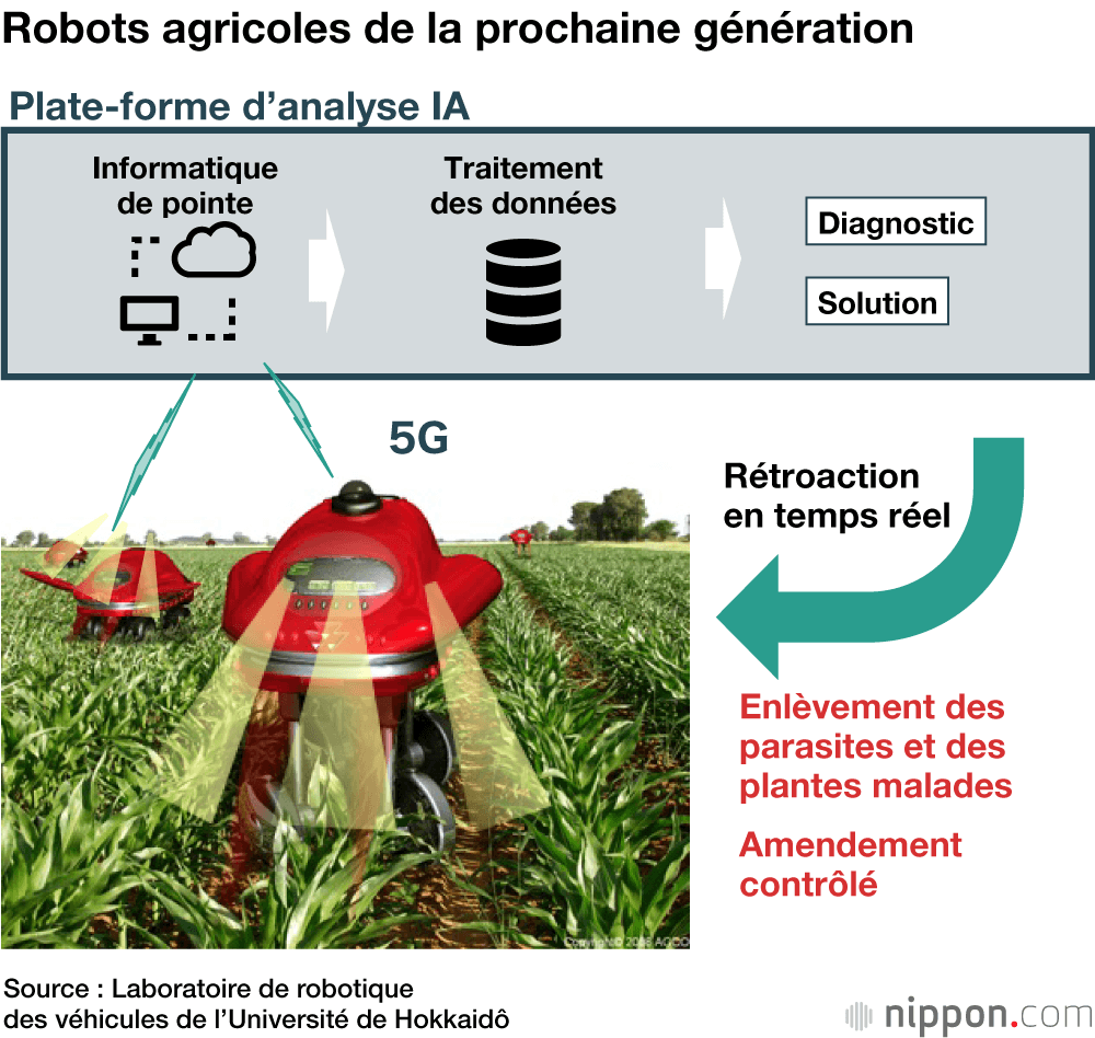 L’agriculture intelligente au Japon : les avancées technologiques changent le visage du monde agricole