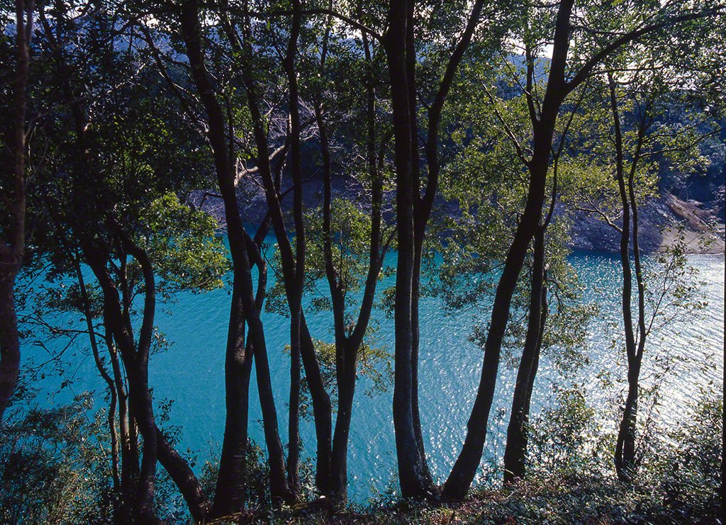 Miyagawa, photographiée dans la préfecture de Mie