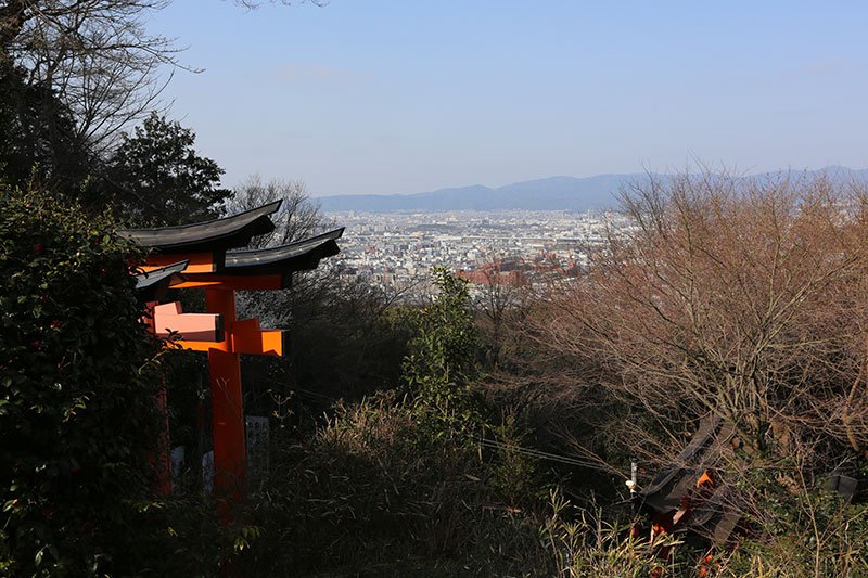 外国人为何会觉得伏见稻荷神社“很酷”？