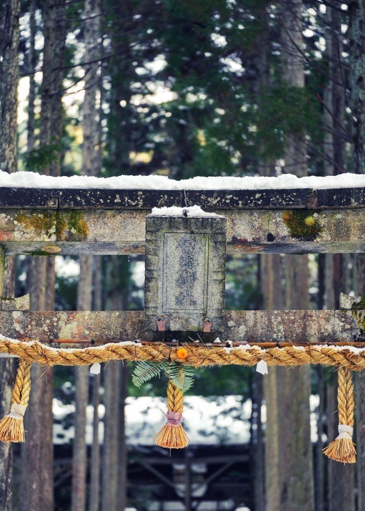 雪中的贺茂神社（提供：KyoLens）