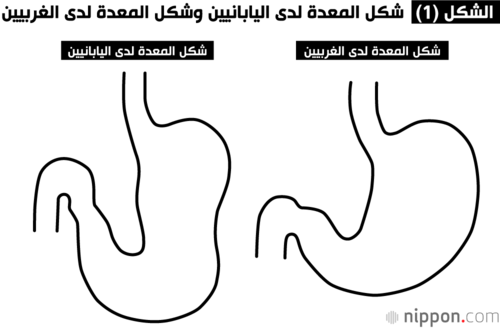 شكل معدة اليابانيين مصمم لتناول الحبوب