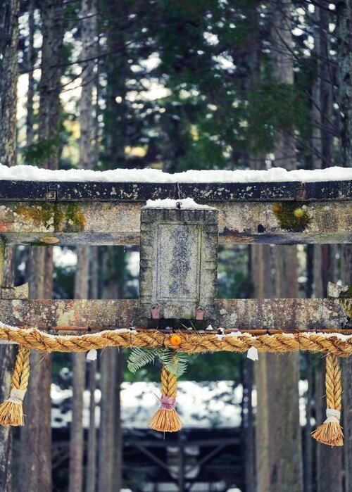 雪中的贺茂神社（提供：KyoLens）